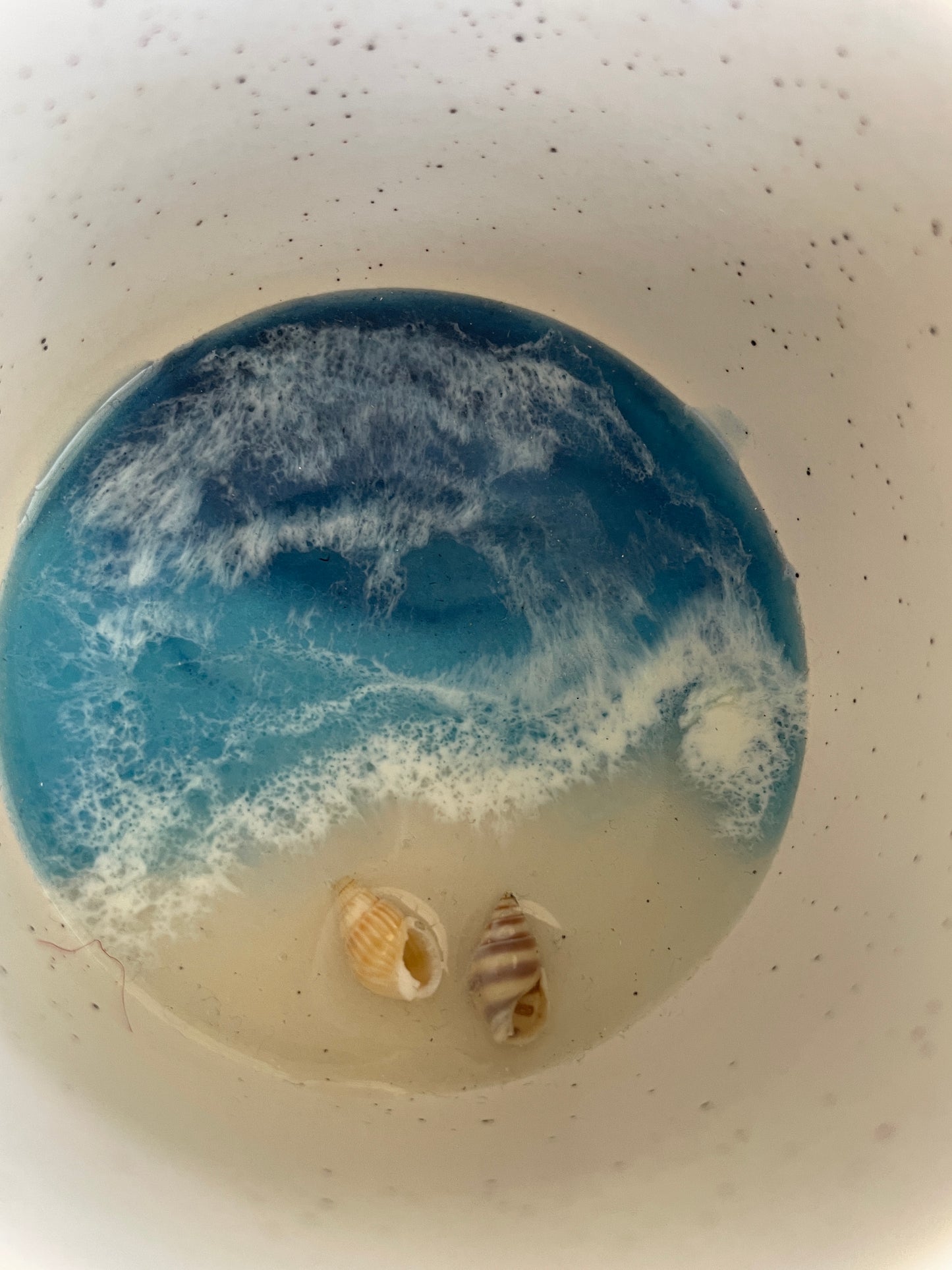 Cajitas redondas marinas